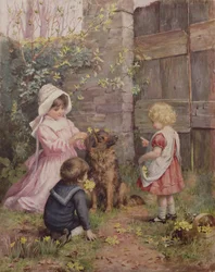 The Collie